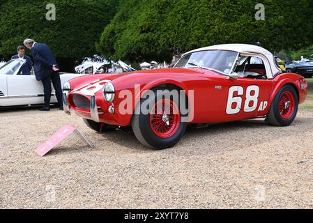 Der Concours of Elegance im Hampton Court Palace vereint eine Auswahl von 60 der seltensten Autos aus der ganzen Welt – viele davon wurden noch nie zuvor in Großbritannien gesehen. Stockfoto