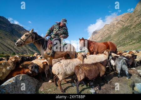 Hirte zu Pferd, der eine Schafherde in den Bergen Kirgisistans führt. Stockfoto