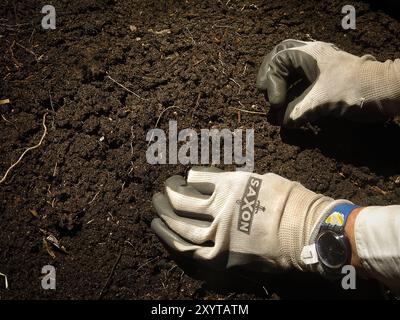 Heute Samen Pflanzen, morgen Träume wachsen! Jeder kleine Samen verspricht neues Leben und einen blühenden Garten. #StartFromSeed Stockfoto