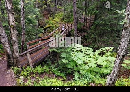 Wanderer auf einer Holzbrücke - Lower Dewey Lake Trail - Skagway, Alaska, USA Stockfoto