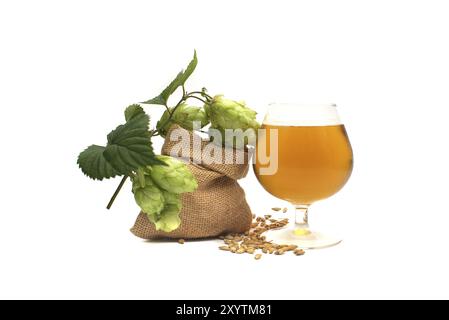 Elegantes Glas gekühltes Lagerbier oder Fass mit schaumem Kopf neben einem Zweig aus grünem Hopfen und Gerste auf weißem Hintergrund Stockfoto