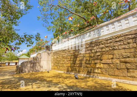 West-Schritte von Jaya Sri Maha Bodhi Baum zusammengesetzte und Heilige Feigenbaum oben im antiken Anuradhapura Capitol in Sri Lanka Stockfoto