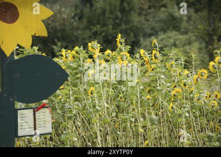 Self-Service-Feld Stockfoto