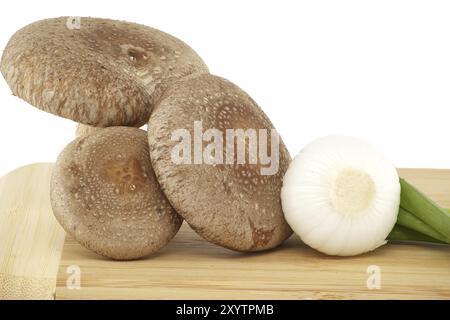 Shiitake-Pilze und verschiedene Zwiebelsorten auf einem Holzschneidbrett auf weißem Hintergrund. Rezepte und Heilkräuter Stockfoto