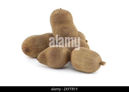 Tamarinden-Fruchtschalen isoliert auf weißem Hintergrund (Tamarindus indica) Stockfoto