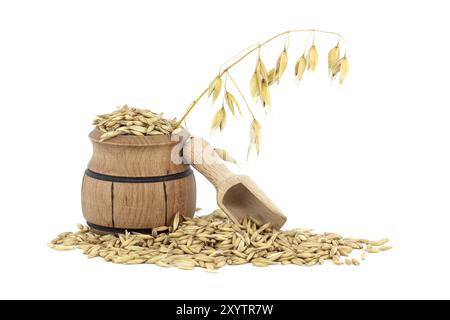 Haferkörner mit Rümpfen oder Schalen in einem kleinen Holzfass isoliert auf weißem Hintergrund. Landwirtschaft, Ernährung und Ernährung. Hafer oder Avena sativa Stockfoto