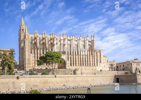 Kathedrale La Seu, vor dem Parc de Mar, Palma, Mallorca, Spanien, Europa Stockfoto