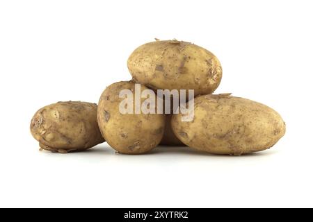 Gruppe frischer Frühkartoffeln mit hellbrauner Haut und dunkelbraunen Flecken auf weißem Hintergrund Stockfoto