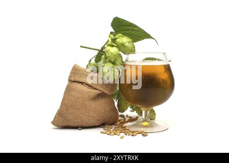 Bier- oder Getränkestillleben mit einem Zweig aus grünem Hopfen und Gerste, die aus einem hessischen Beutel verschüttet werden, zusammen mit einem eleganten Glas gekühltem Lager oder gezapftem Witz Stockfoto