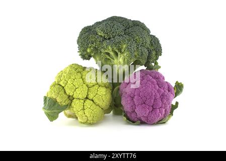 Frischer Brokkoli und farbenfroher Blumenkohl, isoliert auf weißem Hintergrund. Gesundes Lebensmittelkonzept Stockfoto