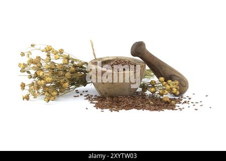 Leinsamen in Holzmörtel im rustikalen Stil mit Stößel und einem Bündel von Flachspflanzen isoliert auf weißem Hintergrund Stockfoto