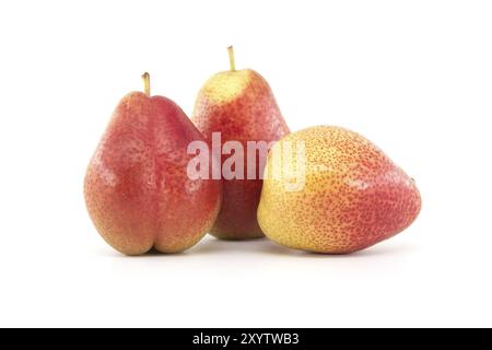 Drei frische reife Birnen mit Stängel isoliert auf weißem Hintergrund Stockfoto