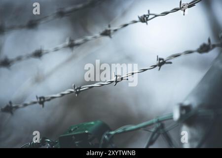 Stacheldraht auf einem Metallzaun der Grenze, Nahaufnahme, verschwommenen Hintergrund abzugrenzen Stockfoto