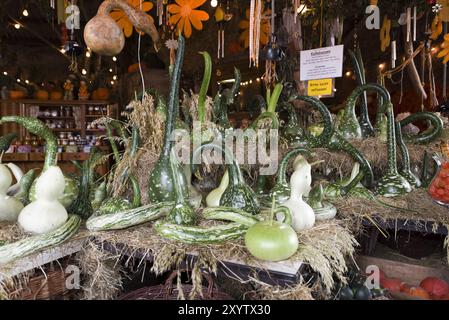 Flaschenkürbis in einem Bauernladen dekoriert Stockfoto