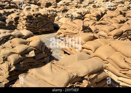 Sandsäcke auf Paletten während der Überschwemmungen in Magdeburg 2013 Stockfoto