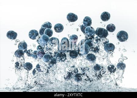 Heidelbeeren in das Wasser sinken mit Luftblasen weißer Hintergrund Stockfoto
