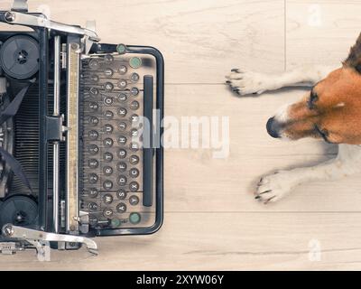 Süßer Hund mit einer alten Schreibmaschine auf einem Holzboden, Ansicht von oben Stockfoto