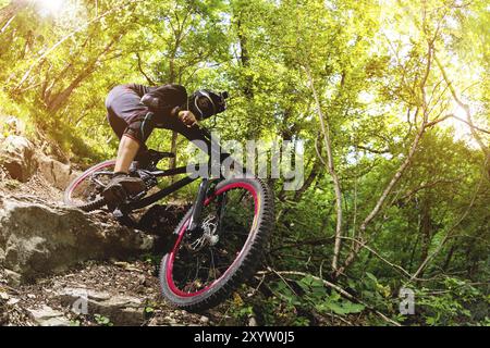 Ein junger Fahrer auf einem Fahrrad, der bergab fährt, steigt die Felsen im Wald ab Stockfoto