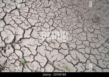 Getrockneter Boden auf einem Feld im Sommer Stockfoto