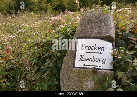 Wegweiser auf einem Wanderweg im Nationalpark Harz Stockfoto