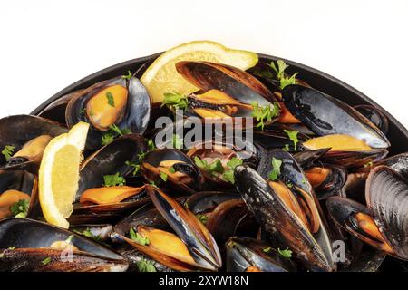 Marinara Muscheln, Moules Mariniere, close-up in einem kochenden Topf auf einem weißen Hintergrund mit einem Platz für Text Stockfoto