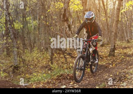 Ein junger Fahrer, der mit dem Mountainbike fährt, fährt im Herbstwald schnell bergab. Das Konzept der Beteiligung von Kindern am Extremsport Stockfoto