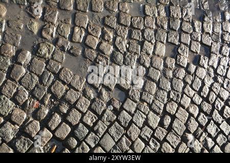 Feuchte Kopfsteinpflaster nach Regen Stockfoto