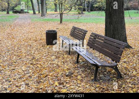 Bänke in einem Park im Herbst Stockfoto