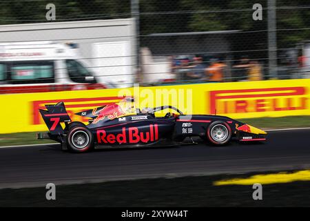 07 TRAMNITZ Tim (ger), MP Motorsport, Dallara F3 2019, Action während der 10. Runde der FIA Formel 3 Meisterschaft 2024 vom 30. August bis 1. September 2024 auf dem Autodromo Nazionale Monza, in Monza, Italien - Foto Xavi Bonilla / DPPI Stockfoto