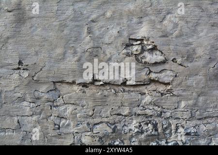 Mauer eines historischen Wohnhauses in Magdeburg Stockfoto