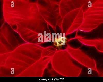 Abstraktes Kunstwerk von Weihnachtsstern, rote Weihnachtsblumenblätter Stockfoto