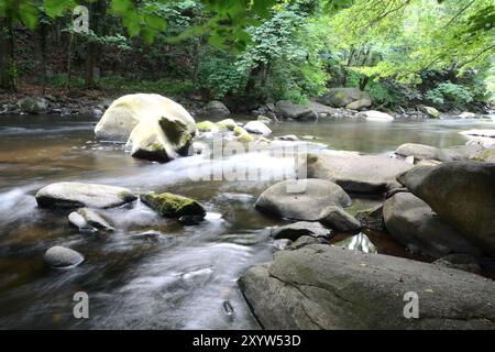 Der romantische Bergbach Bode im Nationalpark Harz Stockfoto