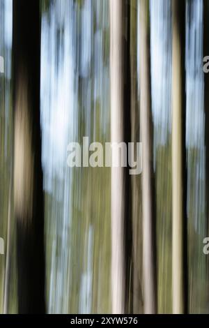 Frühling in einem Wald, Bewegungsunschärfe aufgrund langer Belichtung. Abstraktes Bild eines Waldes im Frühling, Bewegungsunschärfe durch Langzeitbelichtung Stockfoto