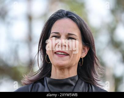 30. August 2024, Brandenburg, Jüterbog: Annalena Baerbock (Bündnis 90/die Grünen), Außenministerin, informiert sich auf ihrem Weg in ihrer Funktion als Mitglied des Brandenburger Bundestages über den aktuellen Stand des Forschungsprojekts Pyrophob auf einem Gebiet der Stiftung Naturlandschaften Brandenburg - die Wildnisstiftung - im Wildnisgebiet Jüterbog. Foto: Patrick Pleul/dpa Stockfoto