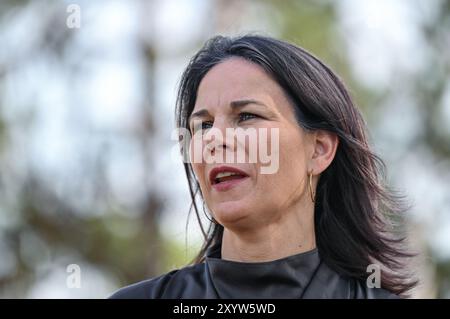 30. August 2024, Brandenburg, Jüterbog: Annalena Baerbock (Bündnis 90/die Grünen), Außenministerin, informiert sich auf ihrem Weg in ihrer Funktion als Mitglied des Brandenburger Bundestages über den aktuellen Stand des Forschungsprojekts Pyrophob auf einem Gebiet der Stiftung Naturlandschaften Brandenburg - die Wildnisstiftung - im Wildnisgebiet Jüterbog. Foto: Patrick Pleul/dpa Stockfoto