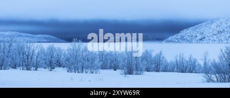 Schlechtes Wetter über dem gefrorenen See Tornetraesk, Norrbotten, Lappland, Schweden, Januar 2014, Europa Stockfoto