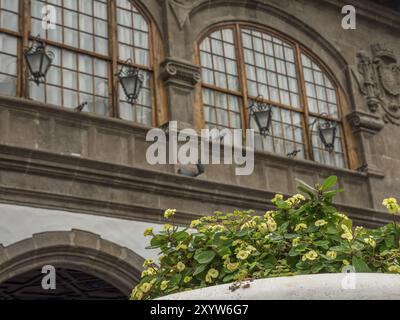 Historische Gebäudefassade mit großen Fenstern, dekorativen Laternen und einem Topf mit gelben Blumen im Vordergrund, La palma, kanarische Inseln, spanien Stockfoto