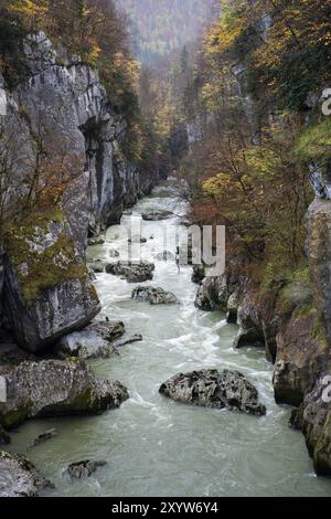 Blick von der Salzachbrücke auf die Salzach und die Salzachschlucht, Herbst. Bäume in Herbstfarben. Tennengebirge und Hagengebirge Stockfoto