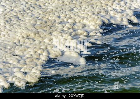 Schmutzige Stelle schaumig Verschmutzung schwebt über das Meerwasser Stockfoto