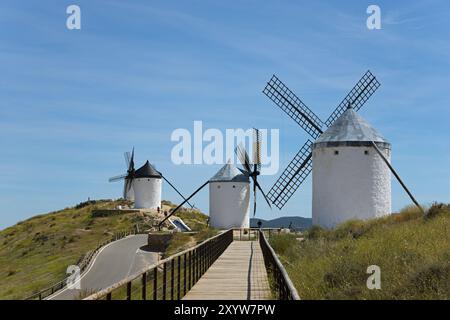 Der Holzweg führt zu drei weißen Windmühlen auf einem grünen Hügel unter einem klaren blauen Himmel, Consuegra, Toledo, Castilla-La Mancha, Route of Don Quijote, Spa Stockfoto