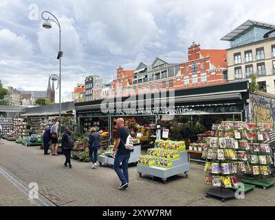 Amsterdam, Niederlande. August 2023. Der schwimmende Blumenmarkt in Amsterdam Stockfoto