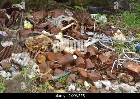 Leere Blechdosen, Müll im Wald. Wilde Müllhalde im Wald Stockfoto