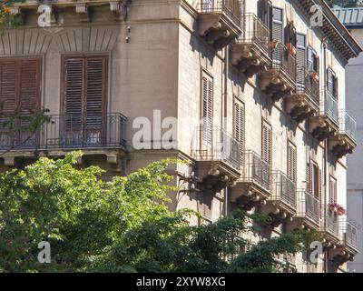 Fassade eines Wohngebäudes mit vielen Balkonen und Fensterläden, von Sonnenlicht beleuchtet und mit Efeu bewachsen, palermo, sizilien, mittelmeer, Stockfoto