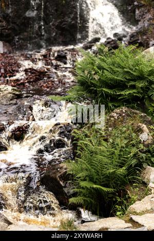 Bergwasserfall. Wasserfall in den Bergen im Sommer. Rollt. Hochwertige Fotos Stockfoto