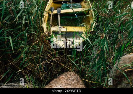 Ein verwittertes, gelbes Boot, teilweise unter Wasser und mit Schilf bewachsen, liegt inmitten hoher Gräser und ruht mit Rudern im Inneren. Die Natur überholt die Stockfoto