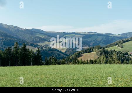 Sanfte grüne Hügel erstrecken sich unter einem hellblauen Himmel über die Landschaft. Diese ruhige und ruhige Landschaft fängt die Schönheit der Natur in nur einem Meter ein Stockfoto