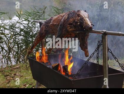 Wildschwein am Spiess, traditionelles Wildschwein auf Spieß und Holzfeuer Stockfoto