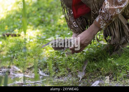 Ein Mann in indischer Kleidung nimmt eine Vogelfeder auf einer Wiese am Ufer eines Baches auf Stockfoto