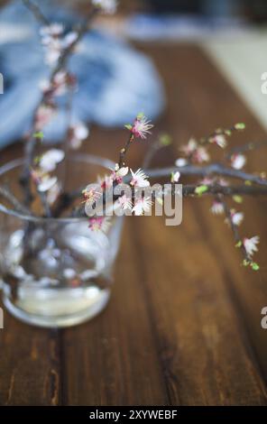 Zweig Blühender Zweig am Holztisch und leeren Raum für Text. Kopieren Sie Raum. Frühlingszeit Stockfoto