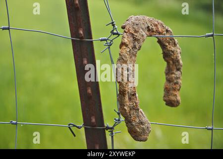 Ein rostiges Hufeisen auf einem Zaun Stockfoto